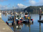 Main article image for story titled 'July 28th - Port of Siuslaw Update'
