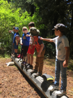 Main article image for story titled 'Siuslaw Watershed Council - Exploration Camp'