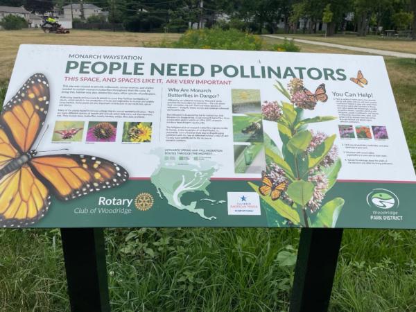 Main article image for story titled '83rd Street Pollinator Garden'