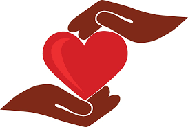 Main article image for story titled 'Senior Sharing and Caring'